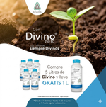 Divino Ec