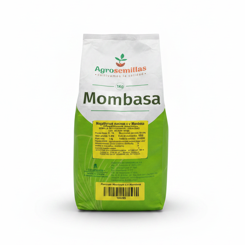 Semillas De Pasto Mombasa x 1 Kg