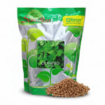 Cilantro Comun Bolsa X 454 Gr