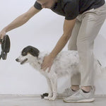 Arnes para Perro Galaxy Flyharness