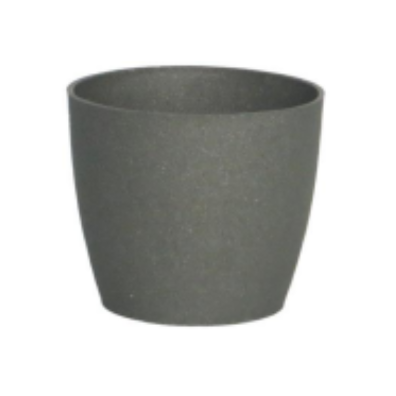 Eco Matera Bahía 10 + Cactus