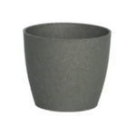 Eco Matera Bahía 10 + Cactus