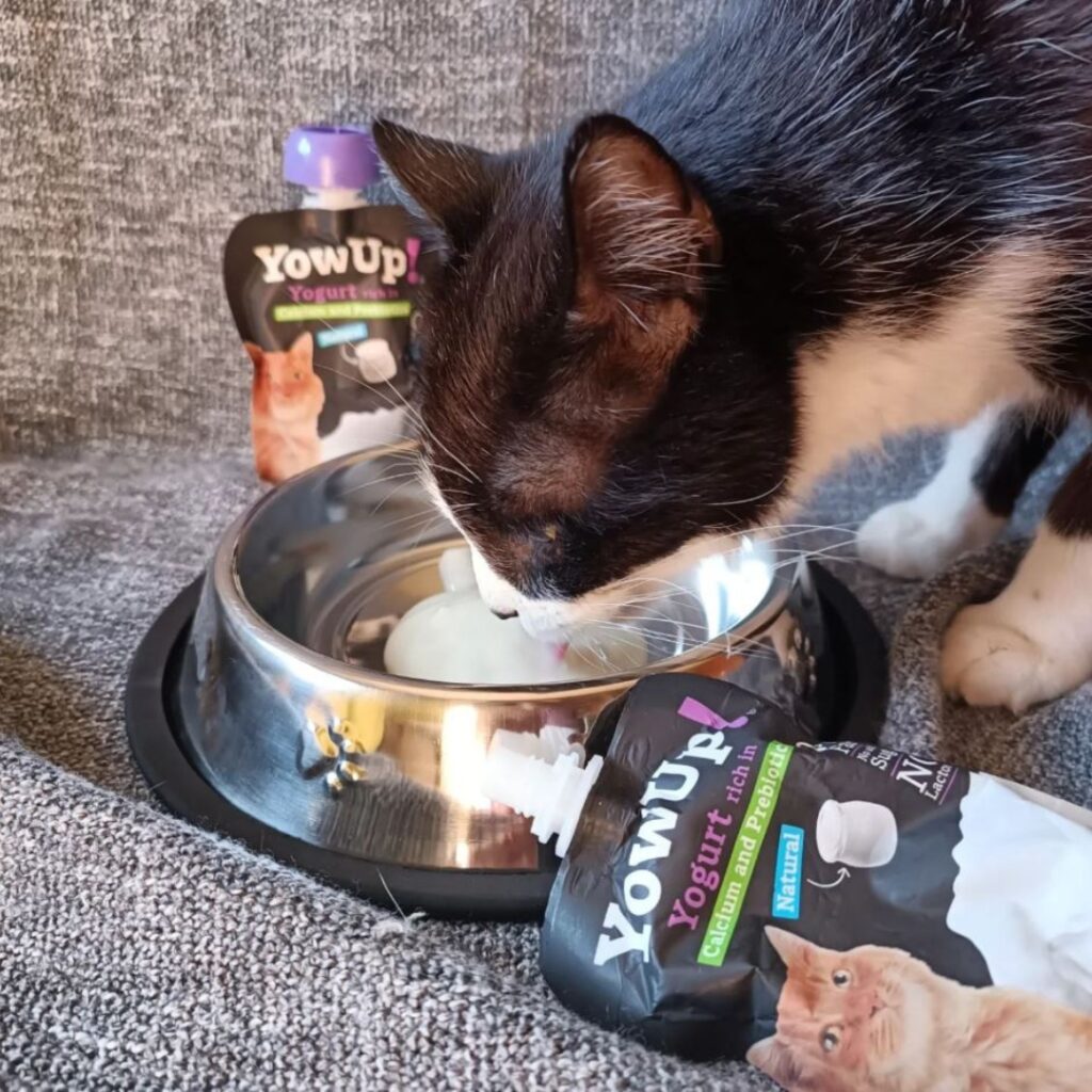 Yogurt Natural con Prebióticos para Perros y Gatos
