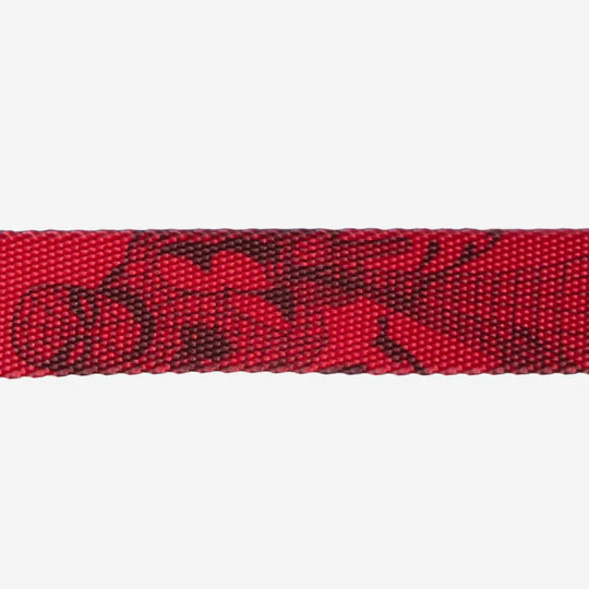 Collar Para Perro Spider Man