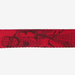 Collar Para Perro Spider Man