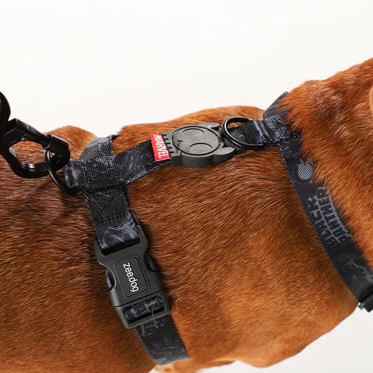Arnes Ajustable Perro Black Panther