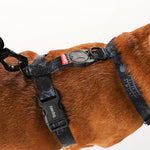 Arnes Ajustable Perro Black Panther