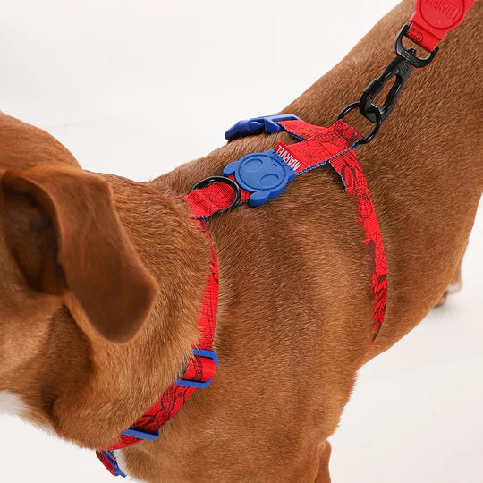 Arnes Ajustable Para Perro Spider Man