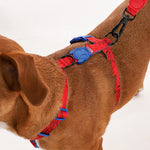 Arnes Ajustable Para Perro Spider Man