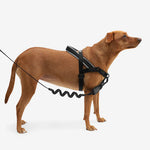 Arnes Anti Tirones Ajustable Perro Grande Nox