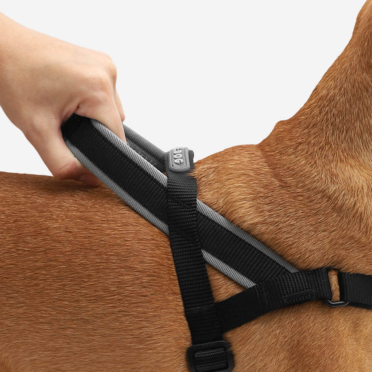 Arnes Anti Tirones Ajustable Perro Grande Nox