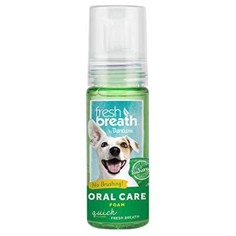 Fresh Breath Foam|Tropiclean