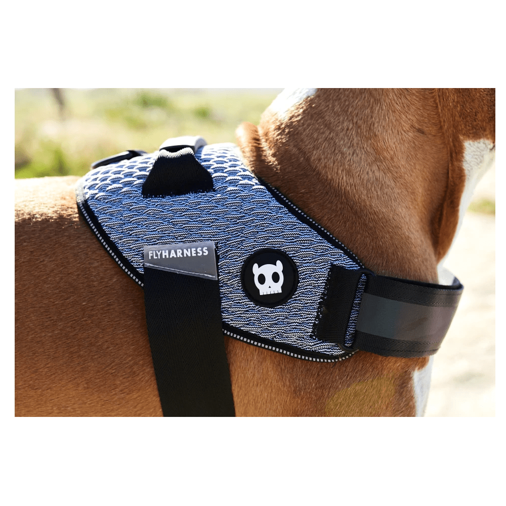 Arnés Para Perro Urban Flyharness Zeedog