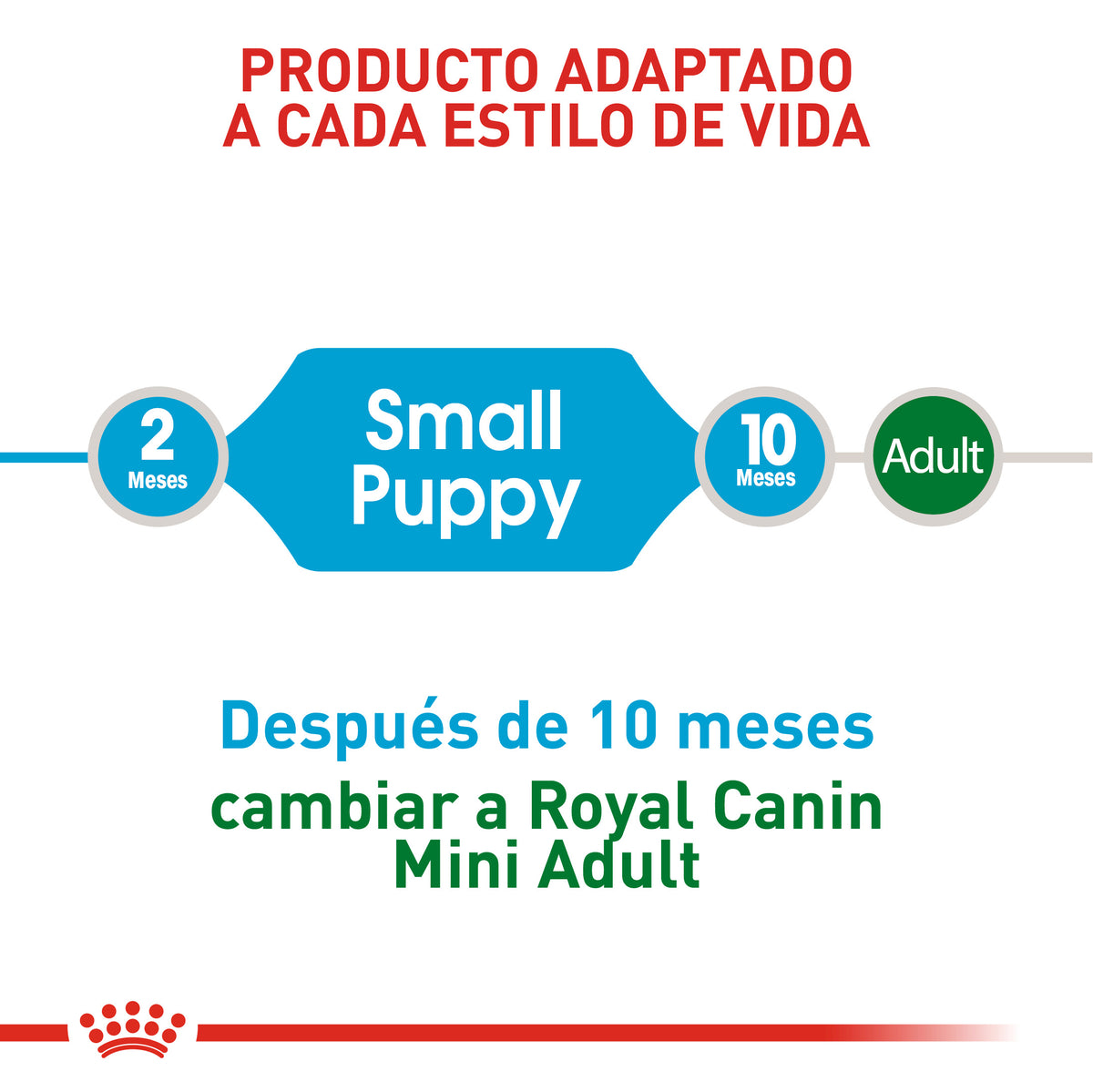 Mini Puppy Cachorro Razas Pequeñas Royal Canin 2 kg