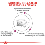 Renal Special Cat Gato Renal Royal Canin 2Kg