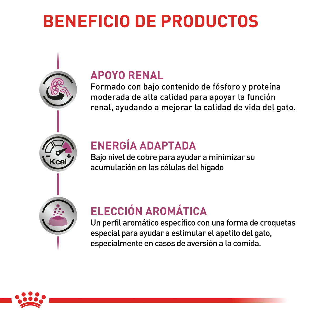 Renal Special Cat Gato Renal Royal Canin 2Kg