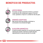 Renal Special Cat Gato Renal Royal Canin 2Kg