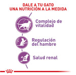 Gato Esterilizado 7+ Royal Canin 1.5 Kg