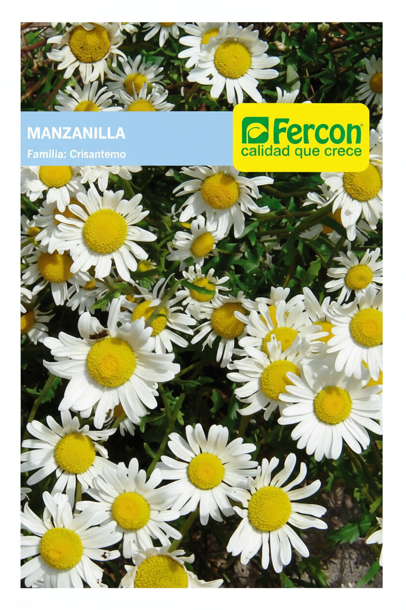 Semilla de Aromática manzanilla x 0.3 gr|Fercon