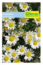 Semilla de Aromática manzanilla x 0.3 gr|Fercon