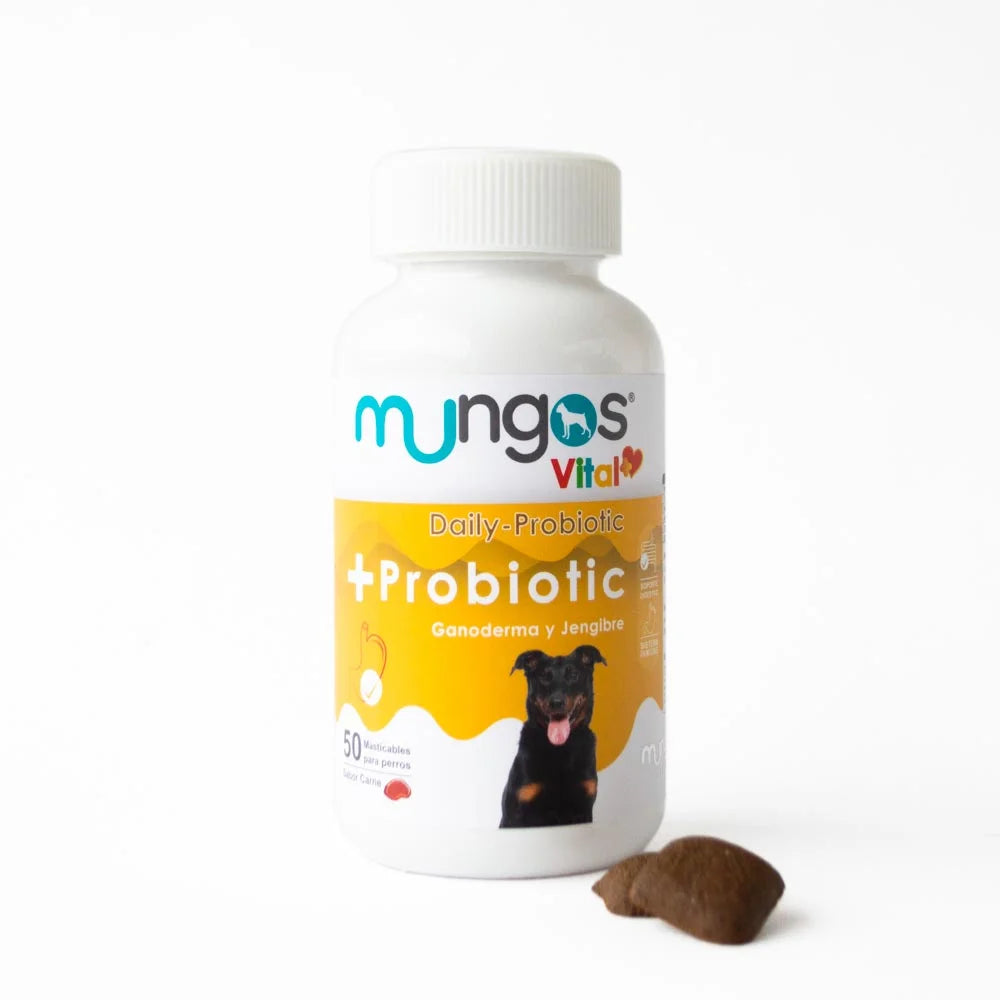 Probióticos PROBIOPET Perros - 10 Cápsulas 240 Mg, 2 Mil Millones Microorganismos Vivos