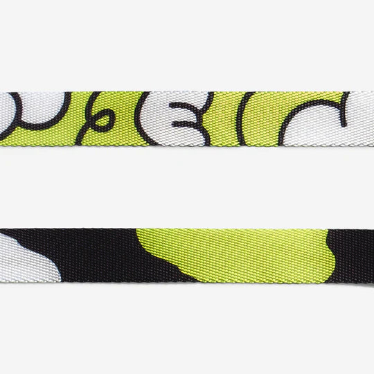 Smash Collar Talla S | Zeedog