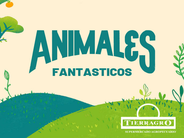 Tierragro Te Obsequia Un Juego De Animales Fantásticos - Tierragro Colombia