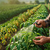 Cómo usar aminoácidos para salvar sus cultivos del estrés y aumentar su producción