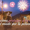 Cómo Proteger a tu Mascota de la Pólvora: Guía Práctica