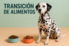 La Transición de Alimento para tu Mascota: Una Decisión que Va Más Allá de la Marca