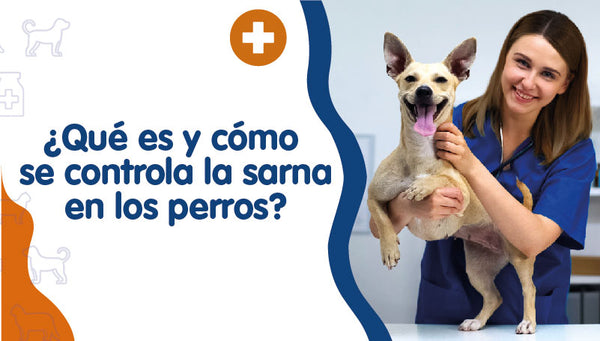 los perros tienen sarna