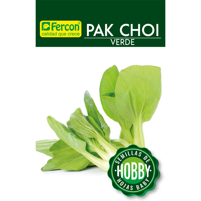Pak choi verde  semillas