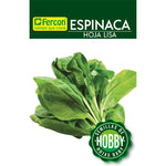 Espinaca Hoja Lisa Semillas x 2 g