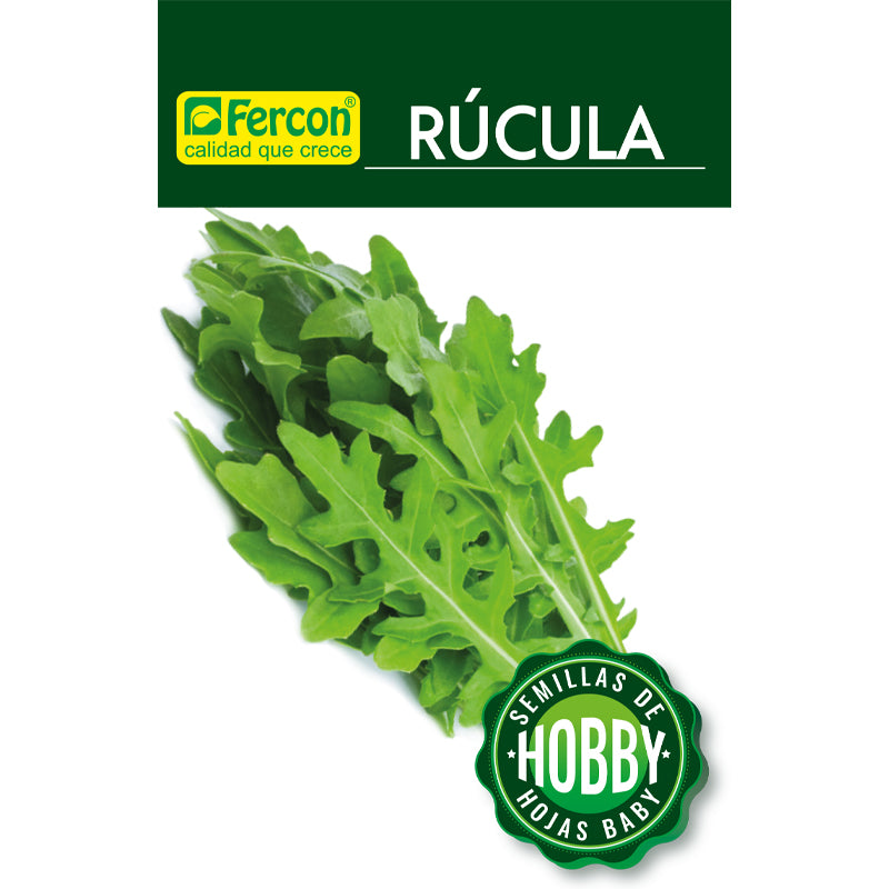 Rucula semillas