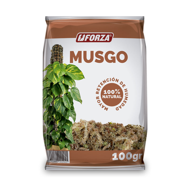 Musgo x 100 g