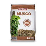 Musgo x 100 g