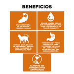 Go! Skin + Coat Receta De Salmón Para Gatos 1.4Kg