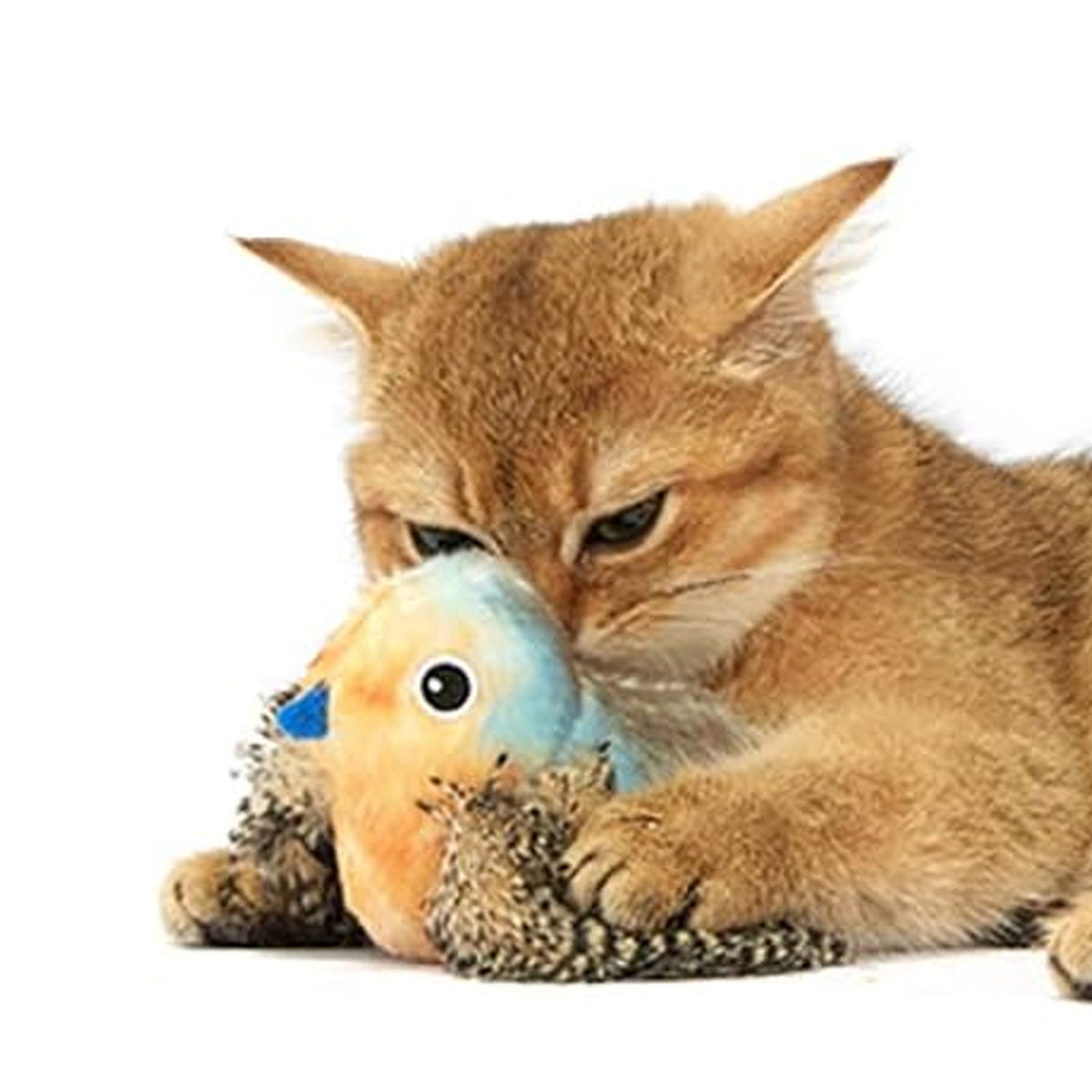 Pájaro con Sonido y Catnip para gatos