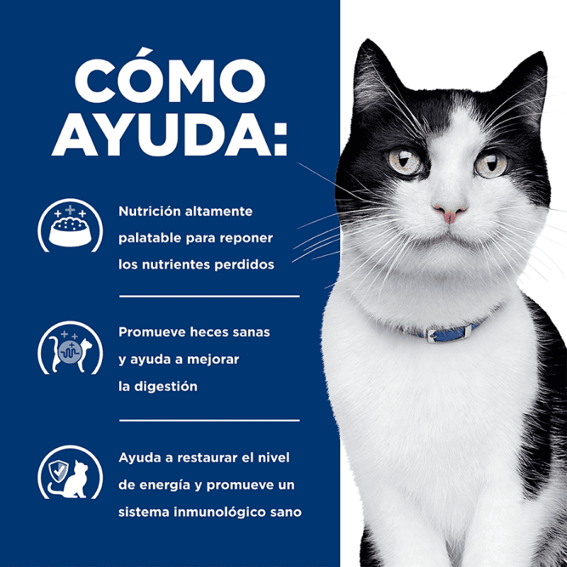 Comida para gato Hills Prescription Digestive Care i/d 4Lbs