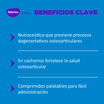 Suplemento Ol Trans Flex para Perros Blister 7 Comprimidos