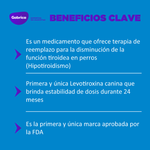 Thyro-Tabs Perros 0.4 mg 120 Tabletas