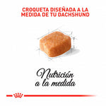 Royal Canin Dachshund Adulto 1.5 kg