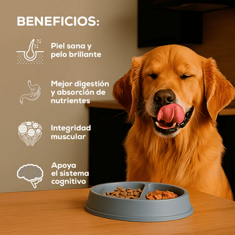 Comida para Perro Grandvita adulto 7+ 8kg