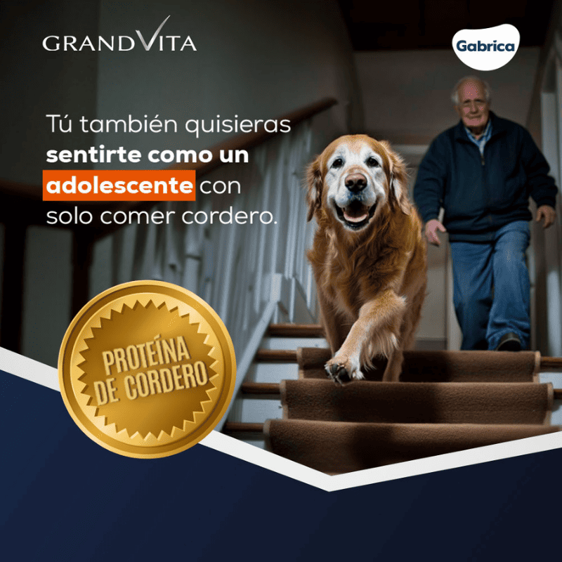 Comida para Perro Grandvita adulto 7+ 8kg