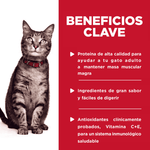 Alimento Húmedo para Gato Adulto Hills Science Diet Pouch Pollo 79 Gr