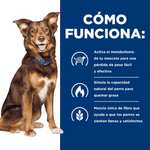 Alimento Metabolic para PerrosHill's Weight Loss & Maintenance x 1.5 kg