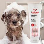 Shampoo 6 en 1 Perros Adultos Lookpet X 250 Ml