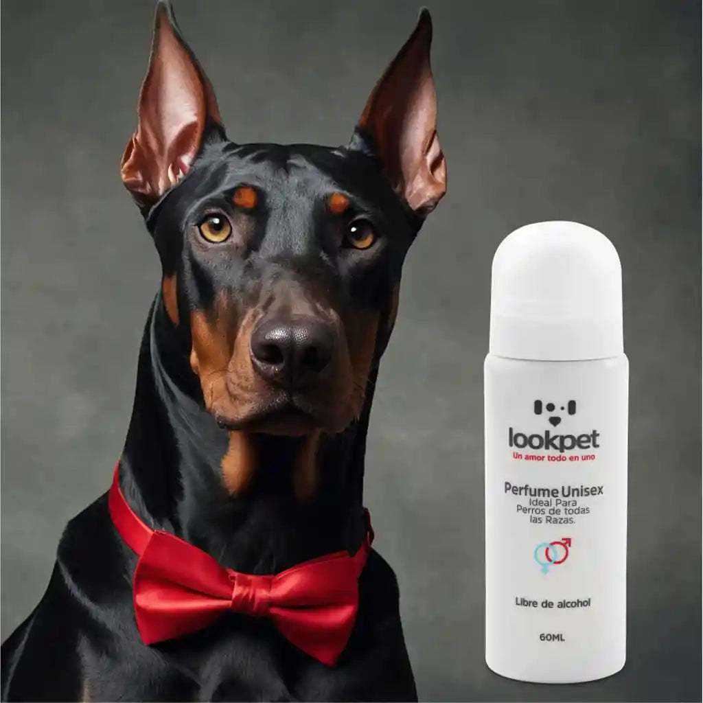 Perfume Unisex Lookpet X 60 Ml