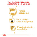 Royal Canin Yorkshire terrier 4,54kg