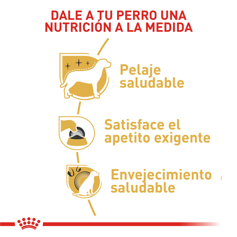 Royal Canin Yorkshire terrier 4,54kg